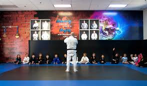 Image result for Apollo Martial Arts Academy