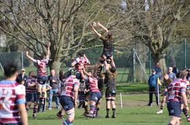 Image result for Shelford Rugby Club