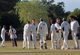 Image result for Wraysbury Cricket Club
