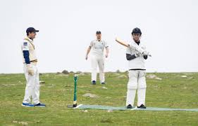 Image result for Henley Cricket Club