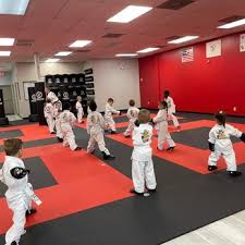 Image result for Freedom Martial Arts