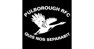Image result for Pulborough Cricket Club