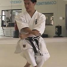 Image result for Devines Martial Arts