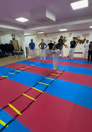 Image result for Stoke UTA Olympic Taekwondo