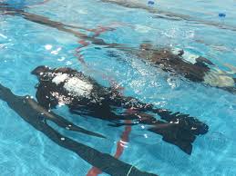 Image result for Leicester Underwater Exploration Club