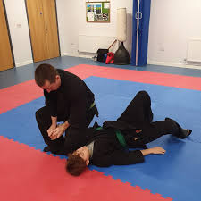 Image result for Bujinkan Crawley Dojo