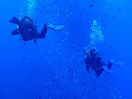 Image result for Ruislip Snorkelling Club