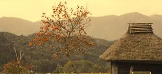 「柿の木利江」の画像検索結果