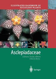 Attēlu rezultāti vaicājumam “Asclepiadaceae”
