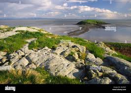 Image result for Solway