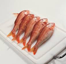 Image result for Mullus surmuletus