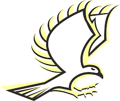 Image result for Timsbury Netball Club