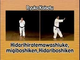 Image result for Ryuko Dojo