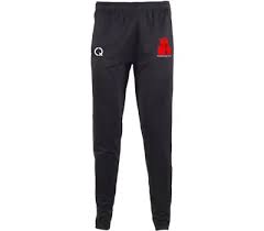 Image result for Paignton Cc