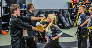 Image result for Martial Art Centre of Excellence