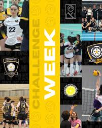 Image result for York University Volleyball Club