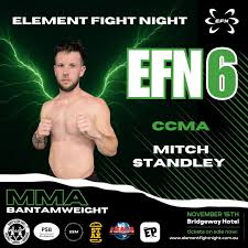 Image result for Full Element Mixed Martial Arts