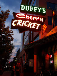 Image result for Cherry Tree Cricket Club