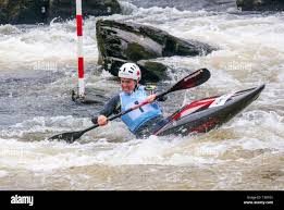 Image result for Seren Dwr