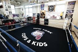 Image result for York University Boxing Club