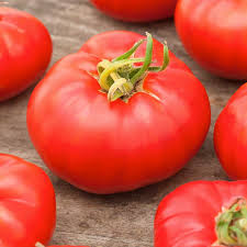 Afbeeldingsresultaat voor marmande jaune tomato