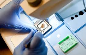 Image result for Hemonetics Superlite