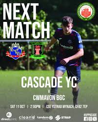 Image result for Cwmafan Football Club