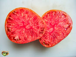 Afbeeldingsresultaat voor black oxheart tomato