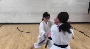 Image result for Haslemere Shotokan Karate Club