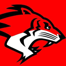 Image result for Glasgow Tigers Flag Football