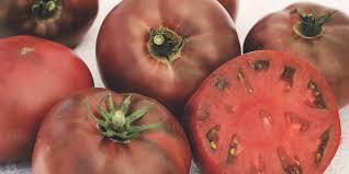 Afbeeldingsresultaat voor carbon tomato