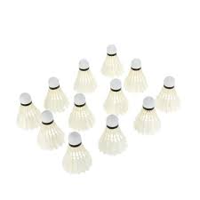 Image result for Shuttlecocks Badminton Club