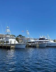 Image result for Watermouth Yacht Club