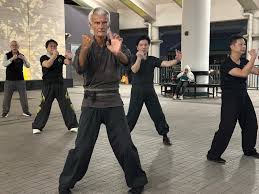 Image result for Chat Ying Kuen Kung Fu Club