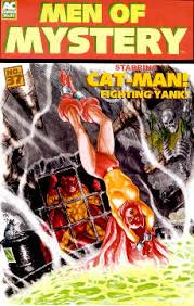 Image result for cat man