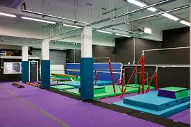 Image result for Sheredes Gymnastics Club