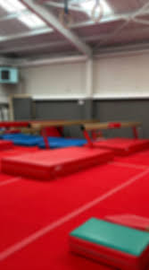 Image result for Torbay Olympic Gymnastics Club