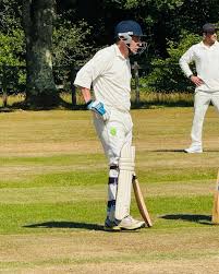 Image result for Lynchmere Cricket Club