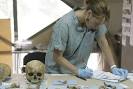forensic anthropology: forensic anthropologist examining a human ...