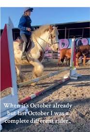 Image result for Weybridge Equestrian Centre