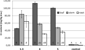Attēlu rezultāti vaicājumam “Callitriche cophocarpa leaf”