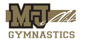 Image result for Epping Forest Elite Gymnastics Club