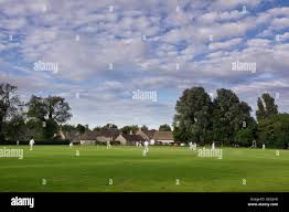 Image result for Ickwell Cricket Club