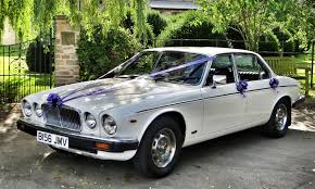 Image result for Tudor White 1982 Jaguar