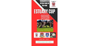 Image result for Totnes Rugby Club