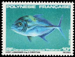 Image result for Caranx melampygus