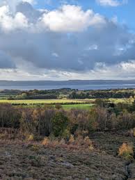 Image result for Caldy Cricket Club