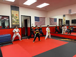 Image result for Newport Kyokushin Karate Club