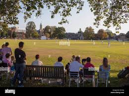 Image result for Kew Cricket Club