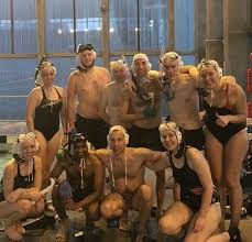 Image result for Underwater Hockey Ireland
